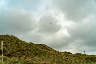 image to crop