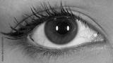preview bw