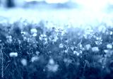 preview cold