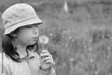 preview bw