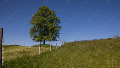 image to crop
