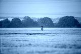 preview cold