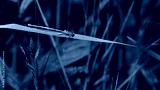 preview cold