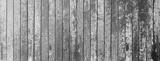 preview bw
