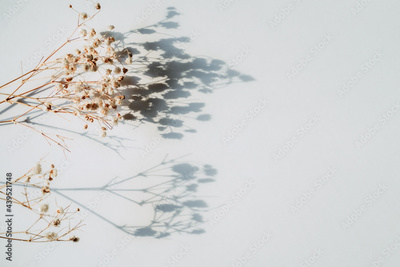 image to crop