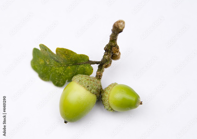 image to crop