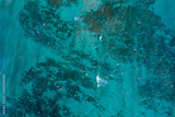 preview original
