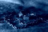 preview cold