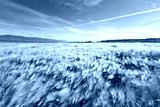 preview cold