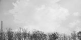 preview bw