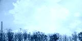 preview cold
