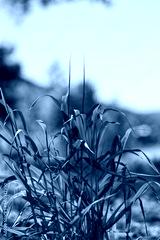 preview cold