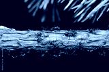 preview cold