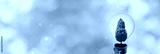 preview cold