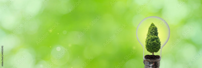 image to crop