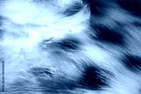 preview cold