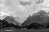 preview bw