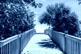 preview cold