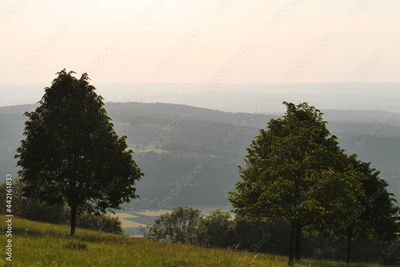 image to crop