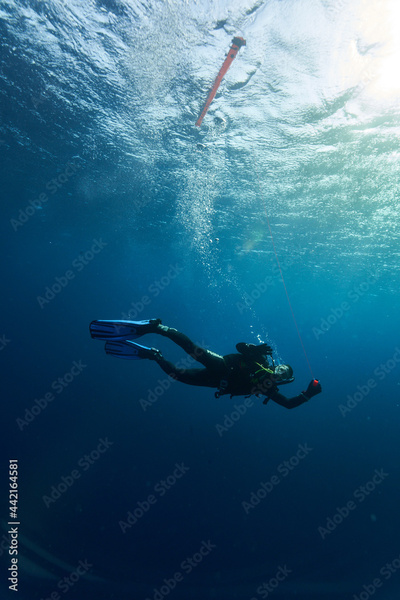 image to crop