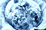 preview cold