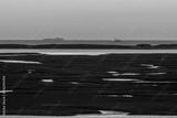 preview bw