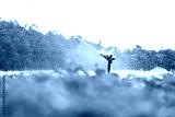 preview cold