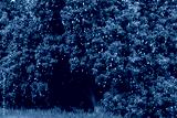 preview cold
