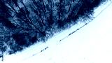 preview cold