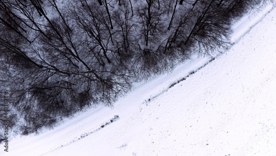 image to crop