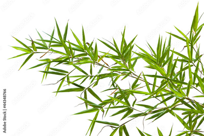 image to crop