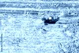 preview cold