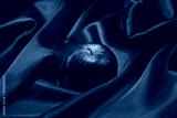 preview cold