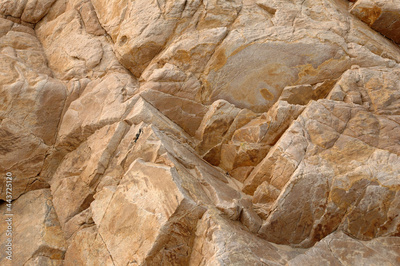 image to crop