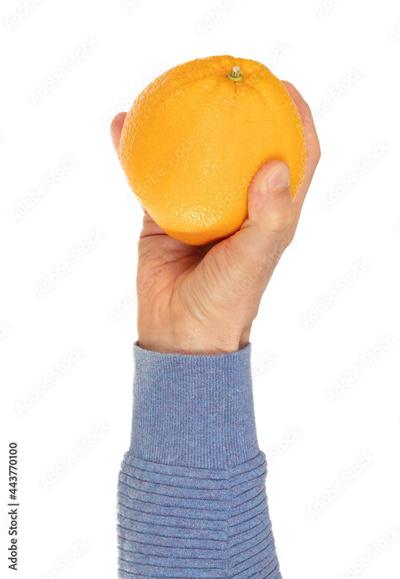 image to crop