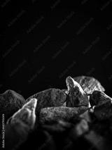 preview bw