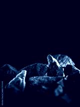 preview cold