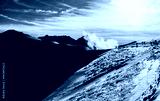 preview cold