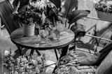preview bw
