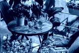 preview cold
