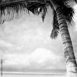 preview bw