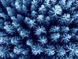 preview cold