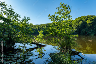image to crop