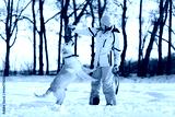 preview cold