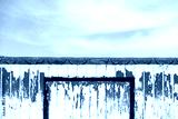 preview cold