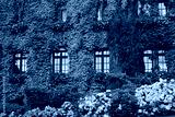 preview cold