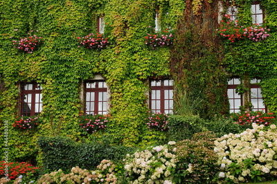 image to crop