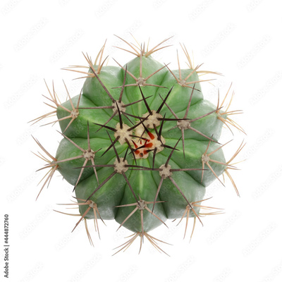 image to crop