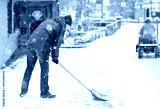 preview cold