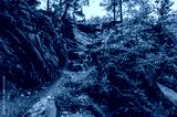 preview cold